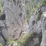 Familie Seiwald Lägenhet