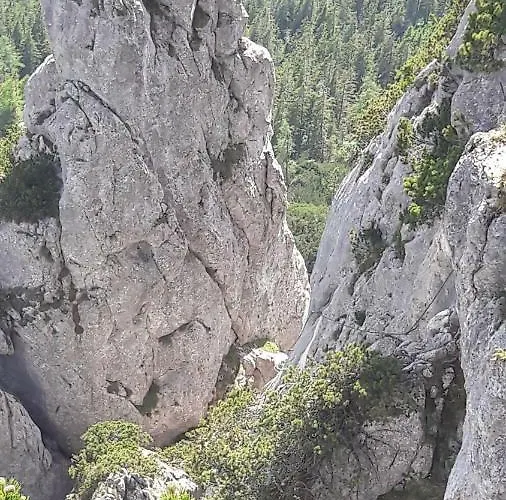 Familie Seiwald Appartement