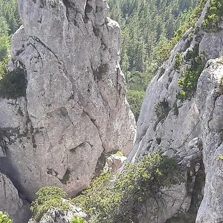Familie Seiwald Appartement